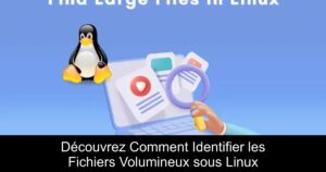 Découvrez Comment Identifier les Fichiers Volumineux sous Linux