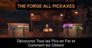 Découvrez Tous les Pics en Fer et Comment les Obtenir