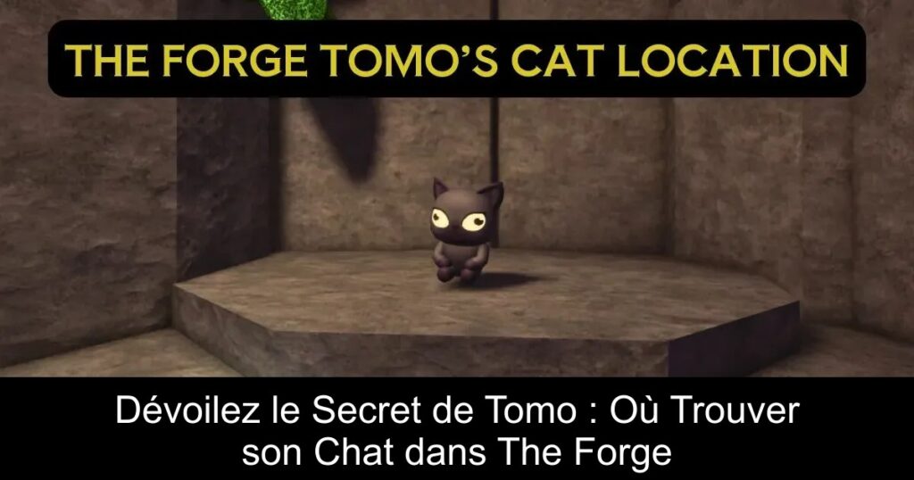 Dévoilez le Secret de Tomo : Où Trouver son Chat dans The Forge