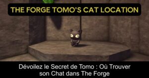 Dévoilez le Secret de Tomo : Où Trouver son Chat dans The Forge