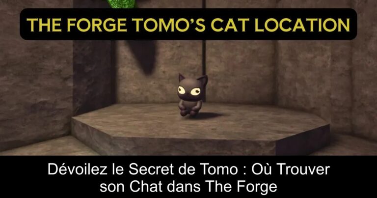 Dévoilez le Secret de Tomo : Où Trouver son Chat dans The Forge