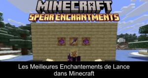 Les Meilleures Enchantements de Lance dans Minecraft