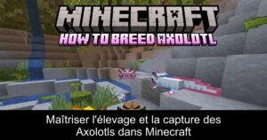 Maîtriser l&rsquo;élevage et la capture des Axolotls dans Minecraft