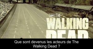 Que sont devenus les acteurs de The Walking Dead ?