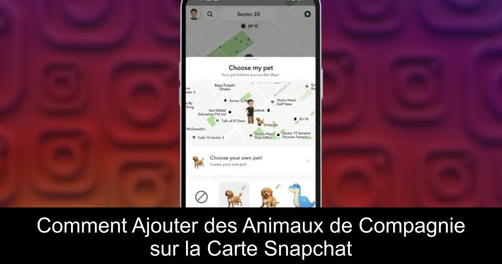 Comment Ajouter des Animaux de Compagnie sur la Carte Snapchat