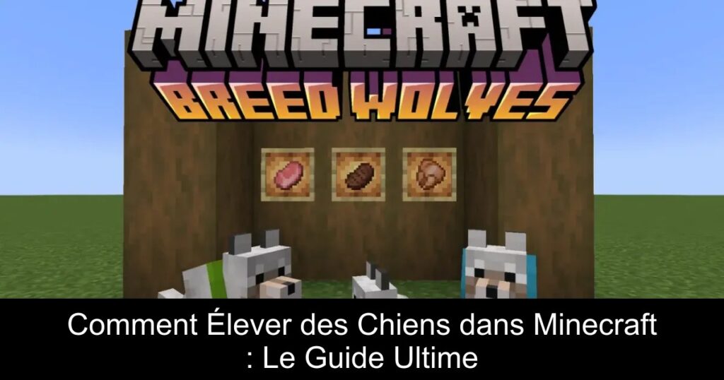 Comment Élever des Chiens dans Minecraft : Le Guide Ultime