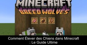 Comment Élever des Chiens dans Minecraft : Le Guide Ultime