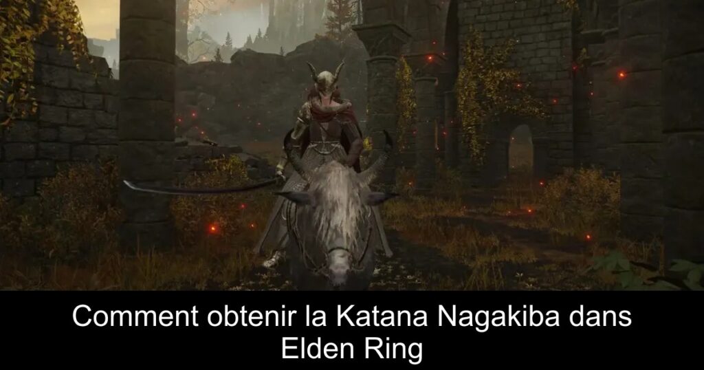 Comment obtenir la Katana Nagakiba dans Elden Ring