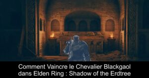 Comment Vaincre le Chevalier Blackgaol dans Elden Ring : Shadow of the Erdtree