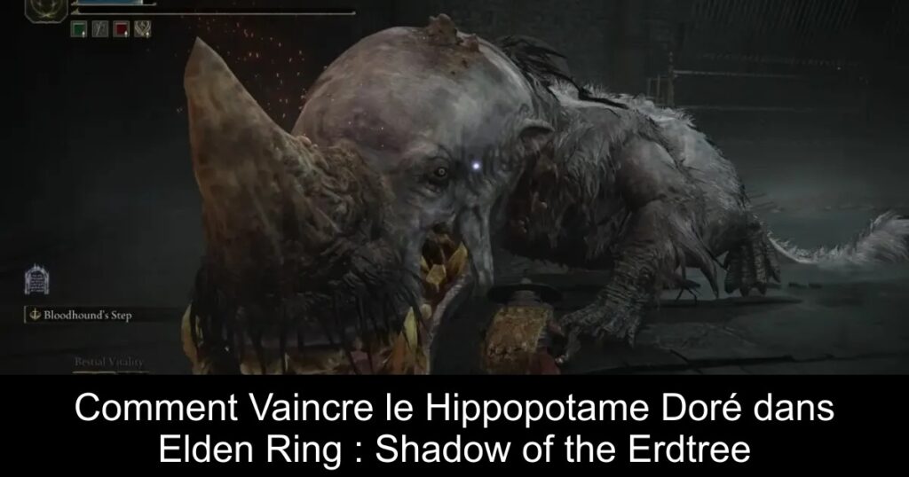 Comment Vaincre le Hippopotame Doré dans Elden Ring : Shadow of the Erdtree
