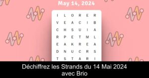 Déchiffrez les Strands du 14 Mai 2024 avec Brio