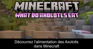 Découvrez l&rsquo;alimentation des Axolotls dans Minecraft