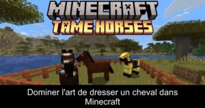 Dominer l&rsquo;art de dresser un cheval dans Minecraft