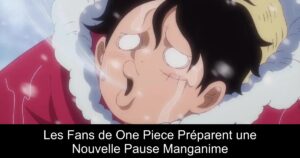 Les Fans de One Piece Préparent une Nouvelle Pause Manganime