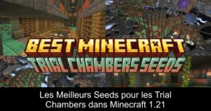 Les Meilleurs Seeds pour les Trial Chambers dans Minecraft 1.21