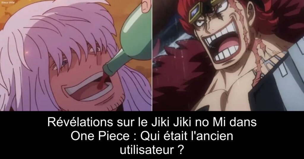 Révélations sur le Jiki Jiki no Mi dans One Piece : Qui était l&rsquo;ancien utilisateur ?