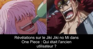 Révélations sur le Jiki Jiki no Mi dans One Piece : Qui était l&rsquo;ancien utilisateur ?