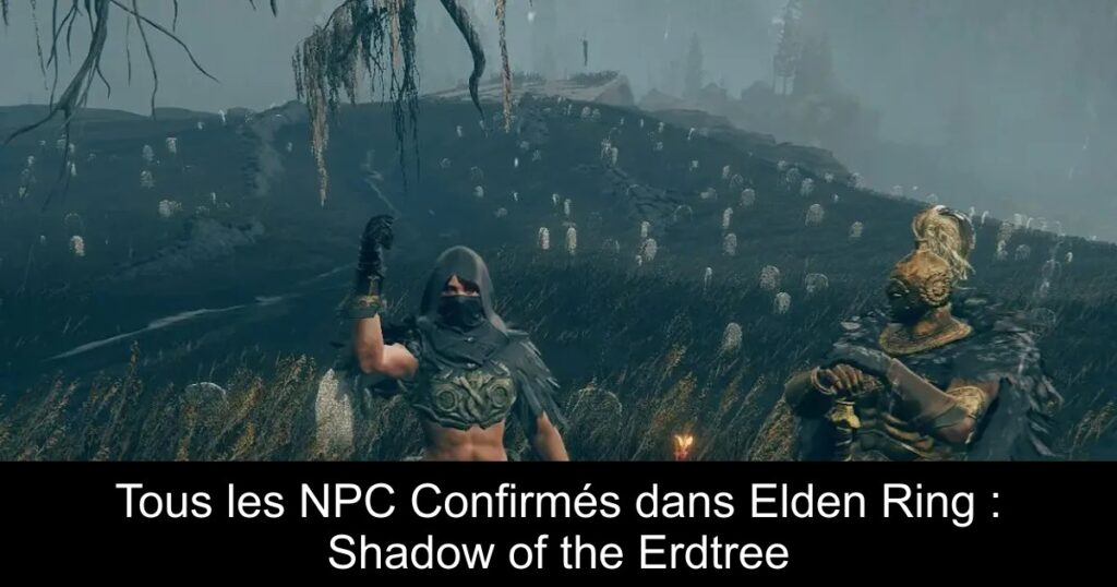 Tous les NPC Confirmés dans Elden Ring : Shadow of the Erdtree