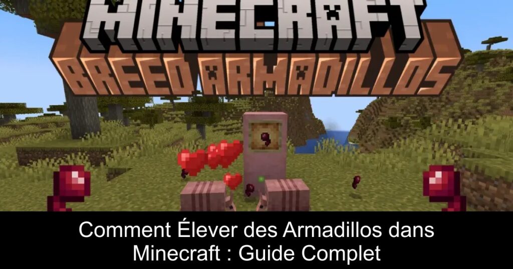 Comment Élever des Armadillos dans Minecraft : Guide Complet