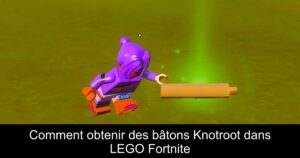 Comment obtenir des bâtons Knotroot dans LEGO Fortnite