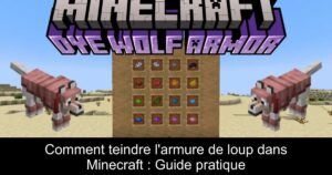 Comment teindre l&rsquo;armure de loup dans Minecraft : Guide pratique