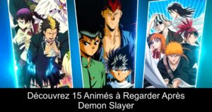 Découvrez 15 Animés à Regarder Après Demon Slayer