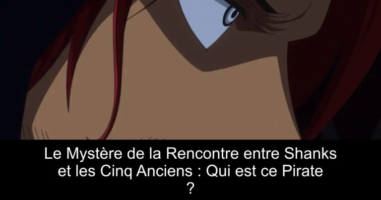 Le Mystère de la Rencontre entre Shanks et les Cinq Anciens : Qui est ce Pirate ?