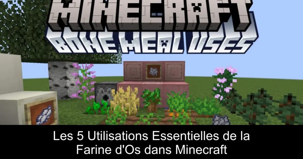 Les 5 Utilisations Essentielles de la Farine d&rsquo;Os dans Minecraft