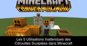 Les 5 Utilisations Inattendues des Citrouilles Sculptées dans Minecraft