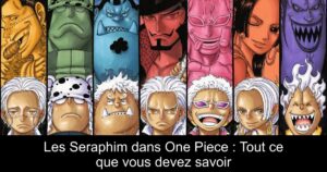 Les Seraphim dans One Piece : Tout ce que vous devez savoir