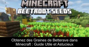 Obtenez des Graines de Betterave dans Minecraft : Guide Utile et Astucieux