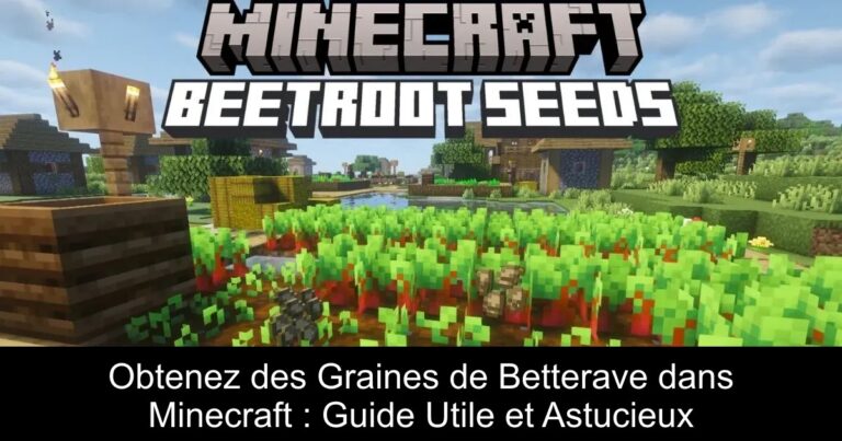Obtenez des Graines de Betterave dans Minecraft : Guide Utile et Astucieux