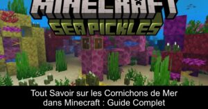 Tout Savoir sur les Cornichons de Mer dans Minecraft : Guide Complet
