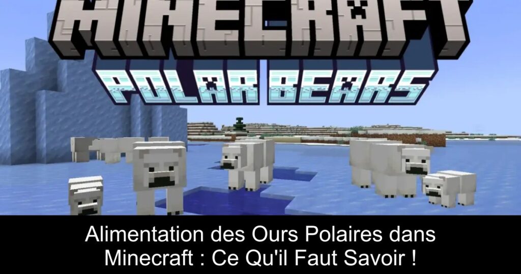 Alimentation des Ours Polaires dans Minecraft : Ce Qu&rsquo;il Faut Savoir !