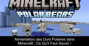 Alimentation des Ours Polaires dans Minecraft : Ce Qu&rsquo;il Faut Savoir !