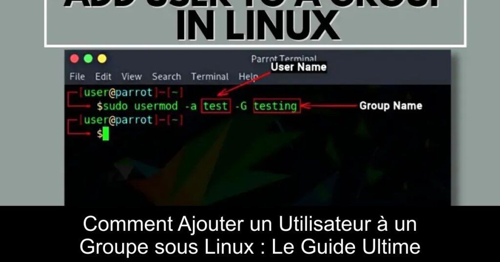 Comment Ajouter un Utilisateur à un Groupe sous Linux : Le Guide Ultime