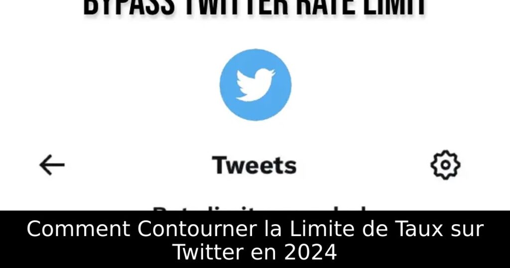 Comment Contourner la Limite de Taux sur Twitter en 2024