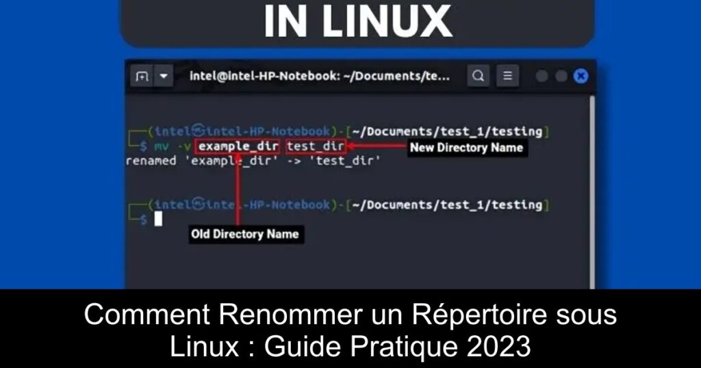 Comment Renommer un Répertoire sous Linux : Guide Pratique 2023