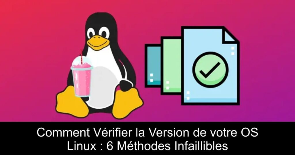 Comment Vérifier la Version de votre OS Linux : 6 Méthodes Infaillibles