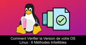 Comment Vérifier la Version de votre OS Linux : 6 Méthodes Infaillibles