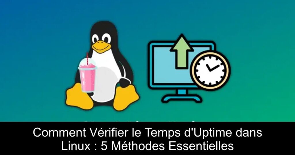 Comment Vérifier le Temps d&rsquo;Uptime dans Linux : 5 Méthodes Essentielles