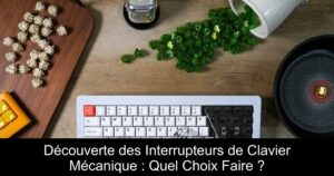 Découverte des Interrupteurs de Clavier Mécanique : Quel Choix Faire ?