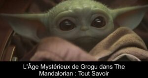 L&rsquo;Âge Mystérieux de Grogu dans The Mandalorian : Tout Savoir