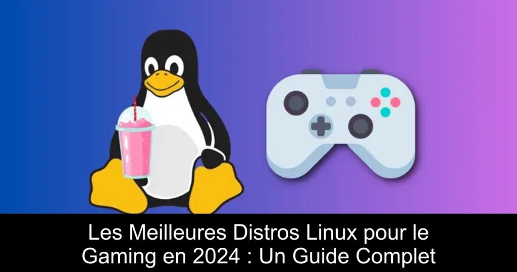 Les Meilleures Distros Linux pour le Gaming en 2024 : Un Guide Complet