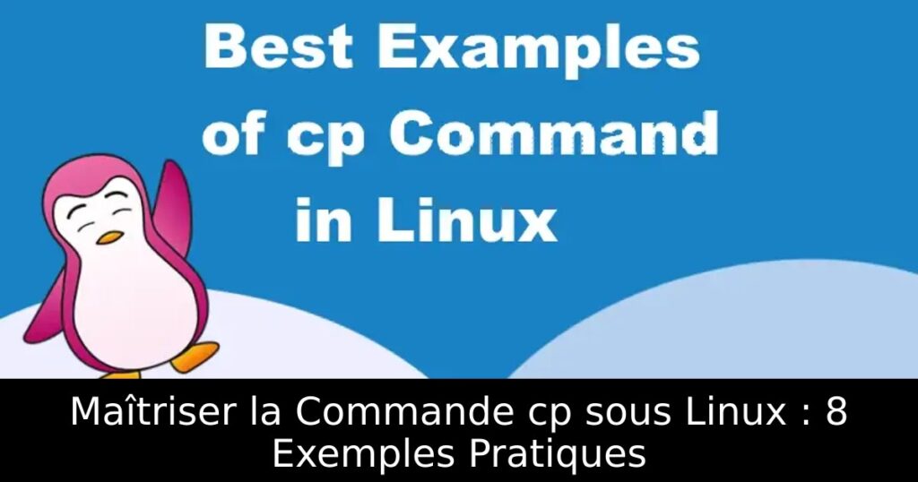 Maîtriser la Commande cp sous Linux : 8 Exemples Pratiques