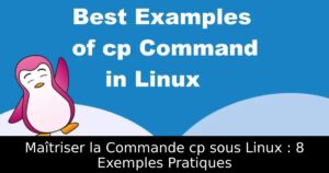 Maîtriser la Commande cp sous Linux : 8 Exemples Pratiques