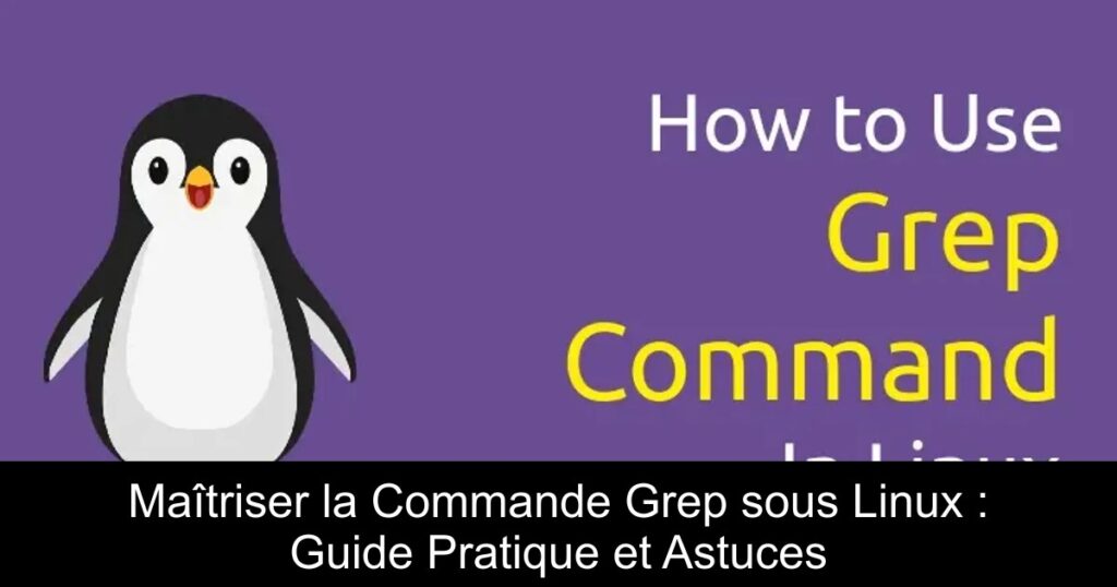 Maîtriser la Commande Grep sous Linux : Guide Pratique et Astuces