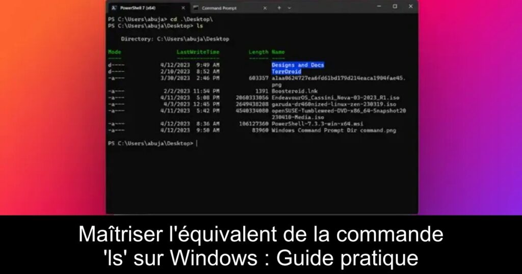 Maîtriser l&rsquo;équivalent de la commande &lsquo;ls&rsquo; sur Windows : Guide pratique