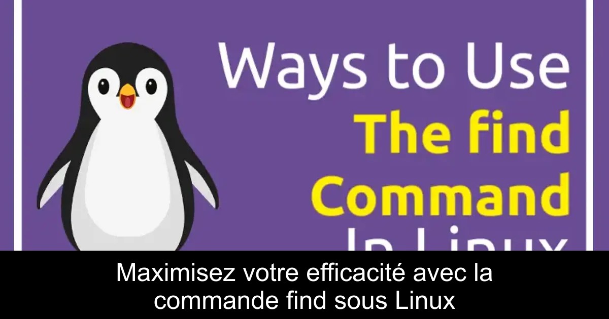Maximisez votre efficacité avec la commande find sous Linux