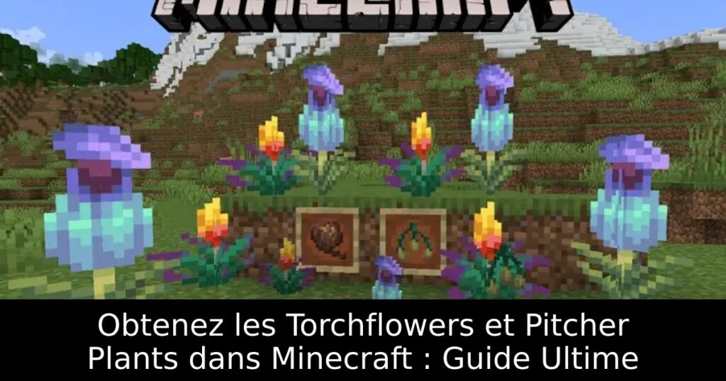 Obtenez les Torchflowers et Pitcher Plants dans Minecraft : Guide Ultime